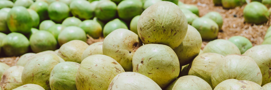 Monk Fruit vs Stevia: Which Is Better for Insulin Resistance?