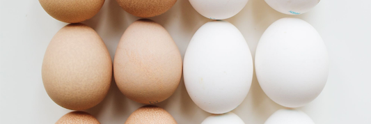 Why Many Indian Vegetarians Still Aren't Getting Enough Protein