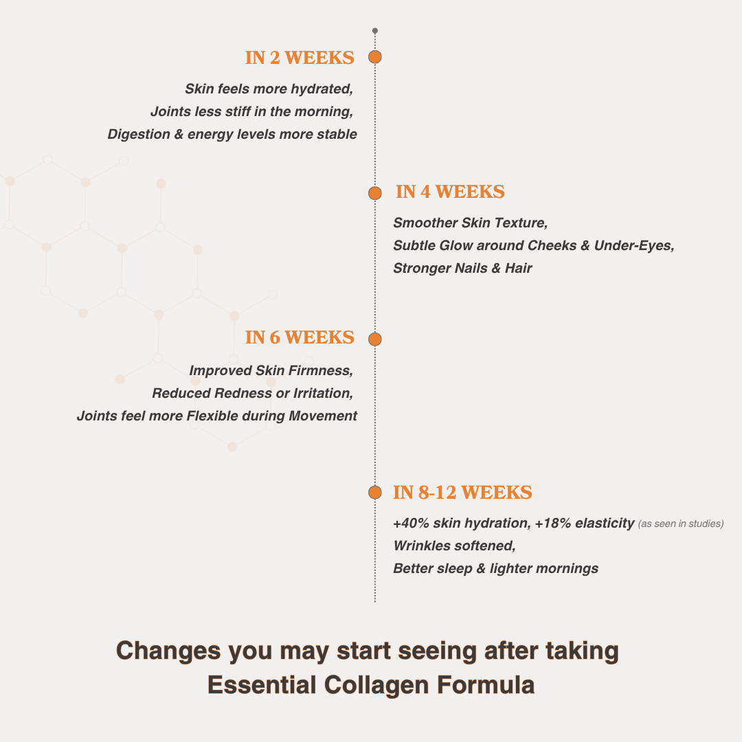 Essential Collagen Formula | Orange