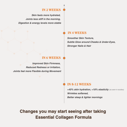 Essential Collagen Formula | Orange